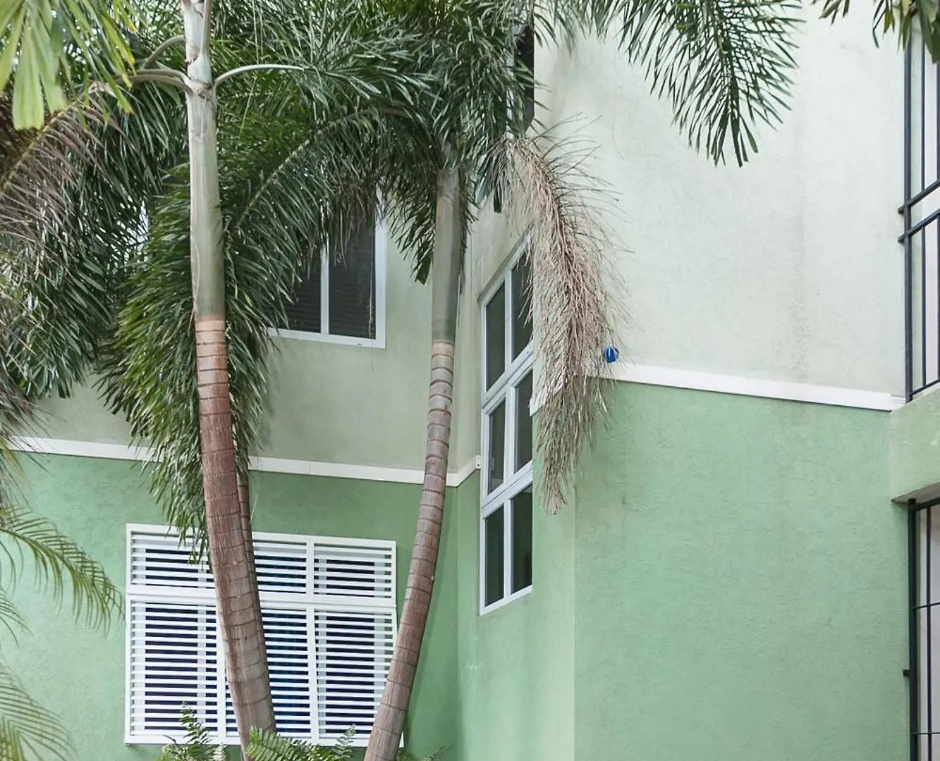 Lägenhet Chic Haven Studio In Kingston Jamaica